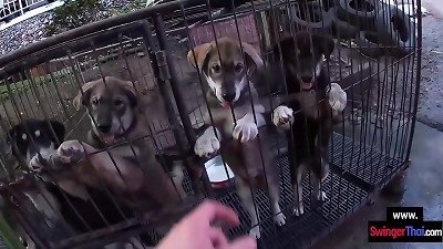 amateur asian teenager gf fellates her boyfriends fat sausage back in the hotel