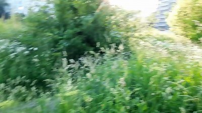 Unscripted encounter with a young girl on the street