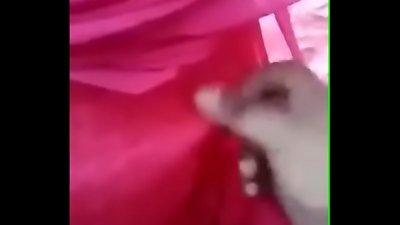 à¤­à¤¾à¤ˆ à¤¨à¥‡ à¤®à¥à¤à¥‡ à¤œà¤®à¤•à¤° à¤šà¥‹à¤¦à¤¾