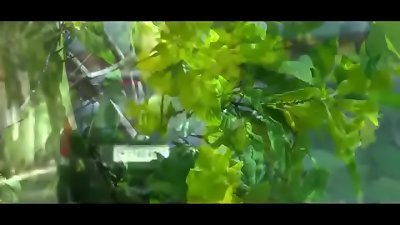 Tamil molten actors romantic song in car in out side ,