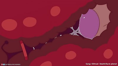 white grizzly X Futa Mouse