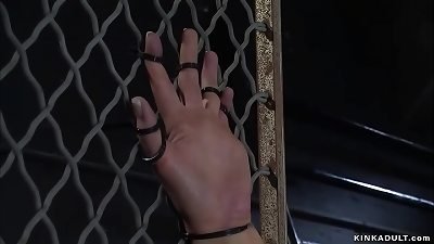 tied girl-on-girl subs sticked on dildos