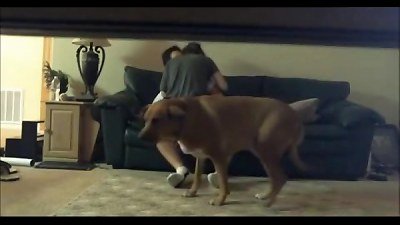 Hidden Cam Catches Son With The Neighbor - BadBootyCams.Com