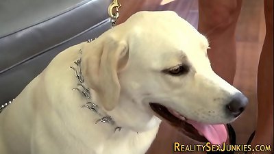 Pornstar with big breasts receives facial