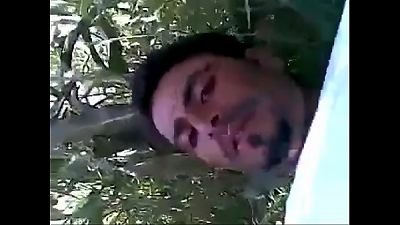 Dasi sex in field